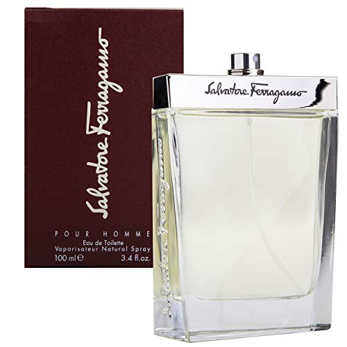 Salvatore Ferragamo/S. Ferragamo Edt Spray 3.4 Oz (M)