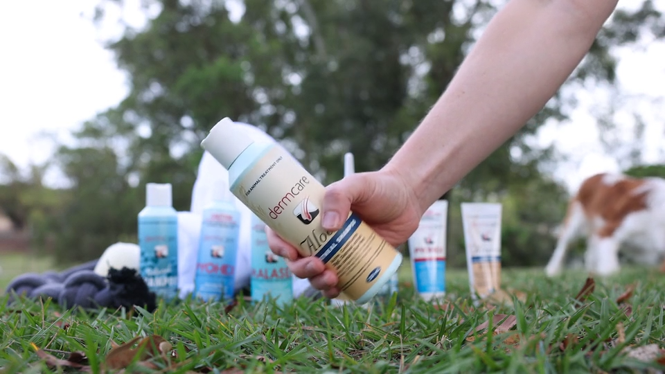 Dermcare Aloveen Oatmeal Shampoo & Conditioner 1L / 500ML (For cats and dogs)